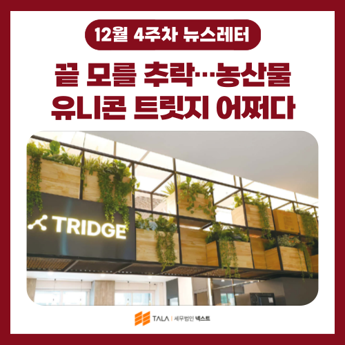 💌[12월 4주차] 끝 모를 추락…농산물 유니콘 트릿지 어쩌다